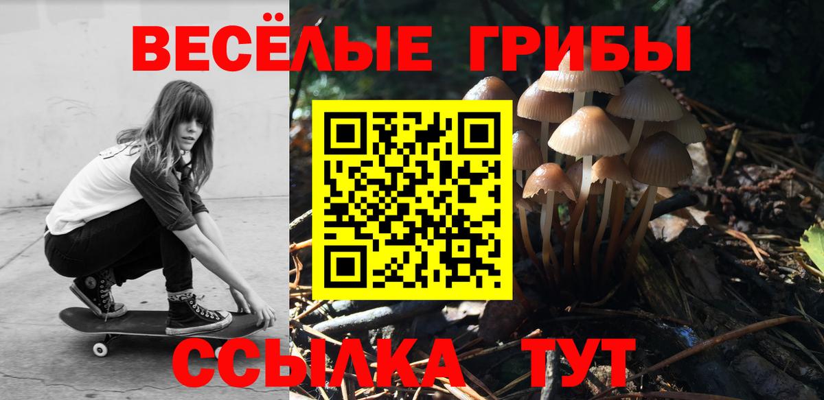 Галлюциногенные грибы ЛСД  хочу   Знаменск  Вход с VPN 