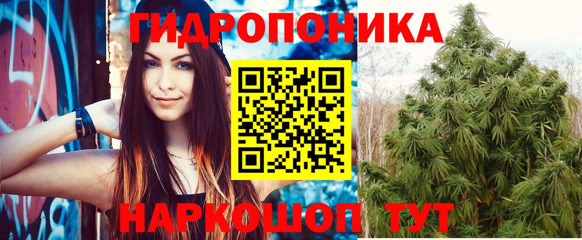 Каннабис гибрид  Канабис Amnesia  Каннабис гибрид  Вход с VPN  Бошки марихуана ГИДРОПОН  Знаменск 